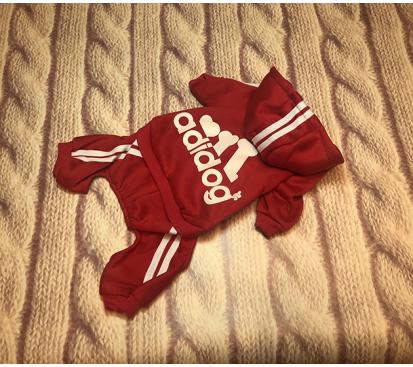 Спортивный костюм «Adidog» цвет красный