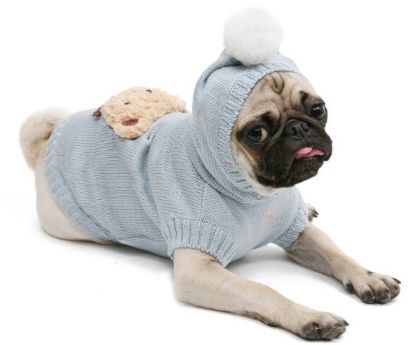 Теплая одежда для собак в СПб