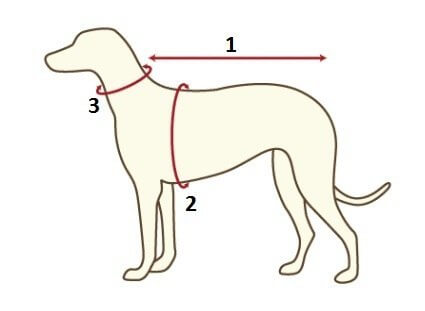 Как одевать шлейки для собак?
